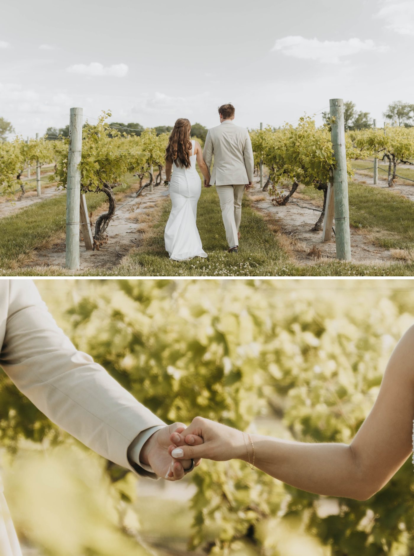 A bride and groom walk into a vineyard