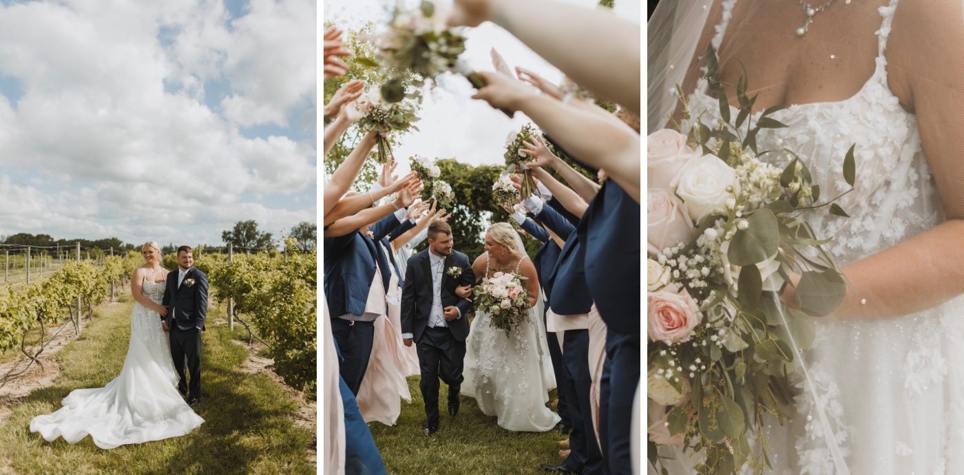 A bridal party in pink dresses and blue suits surround the bride and groom
