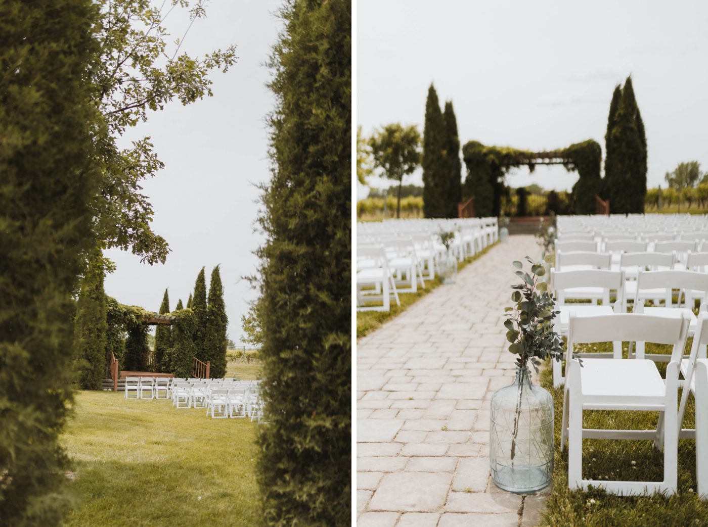 A wedding ceremony set up between two Cyprus trees at Moonlight Ridge Vineyards