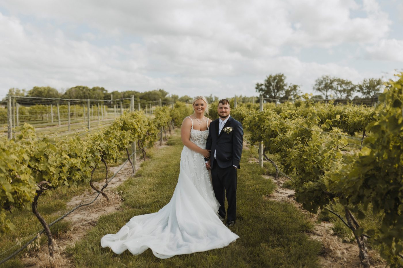 A bride and groom stand in a vineyard at Moonlight Ridge Vineyards